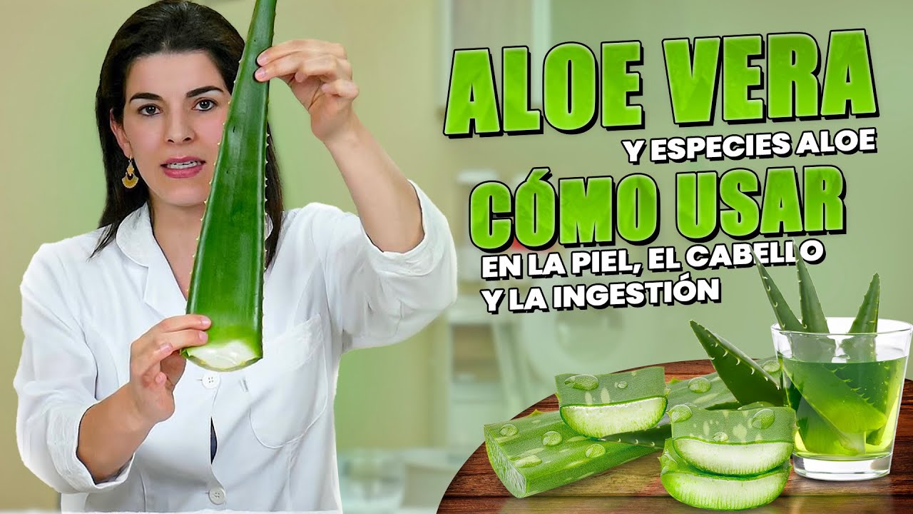 ALOE in en Rostro, Cabello y Consumo - Beneficios y Recetas Caseras de Cómo Usar ALOE VERA (BABOSA)