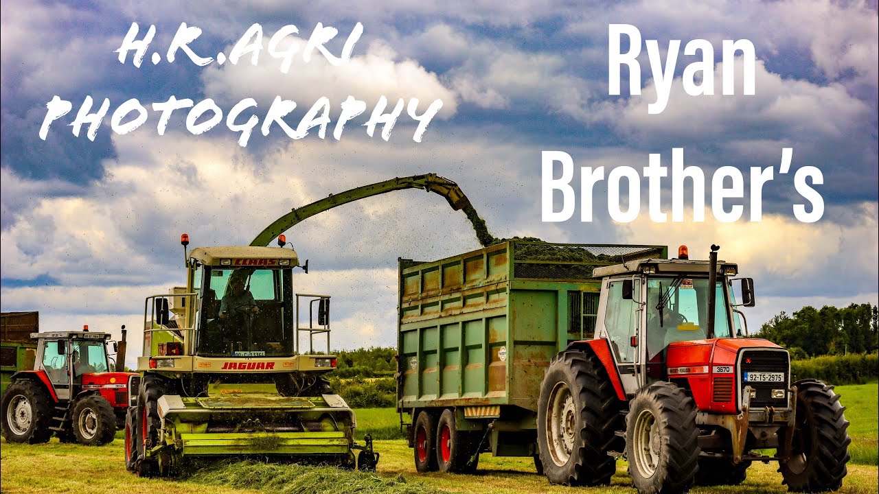 Ryan brother MASSEY 3870 and 3650 at SILAGE  (2024)
