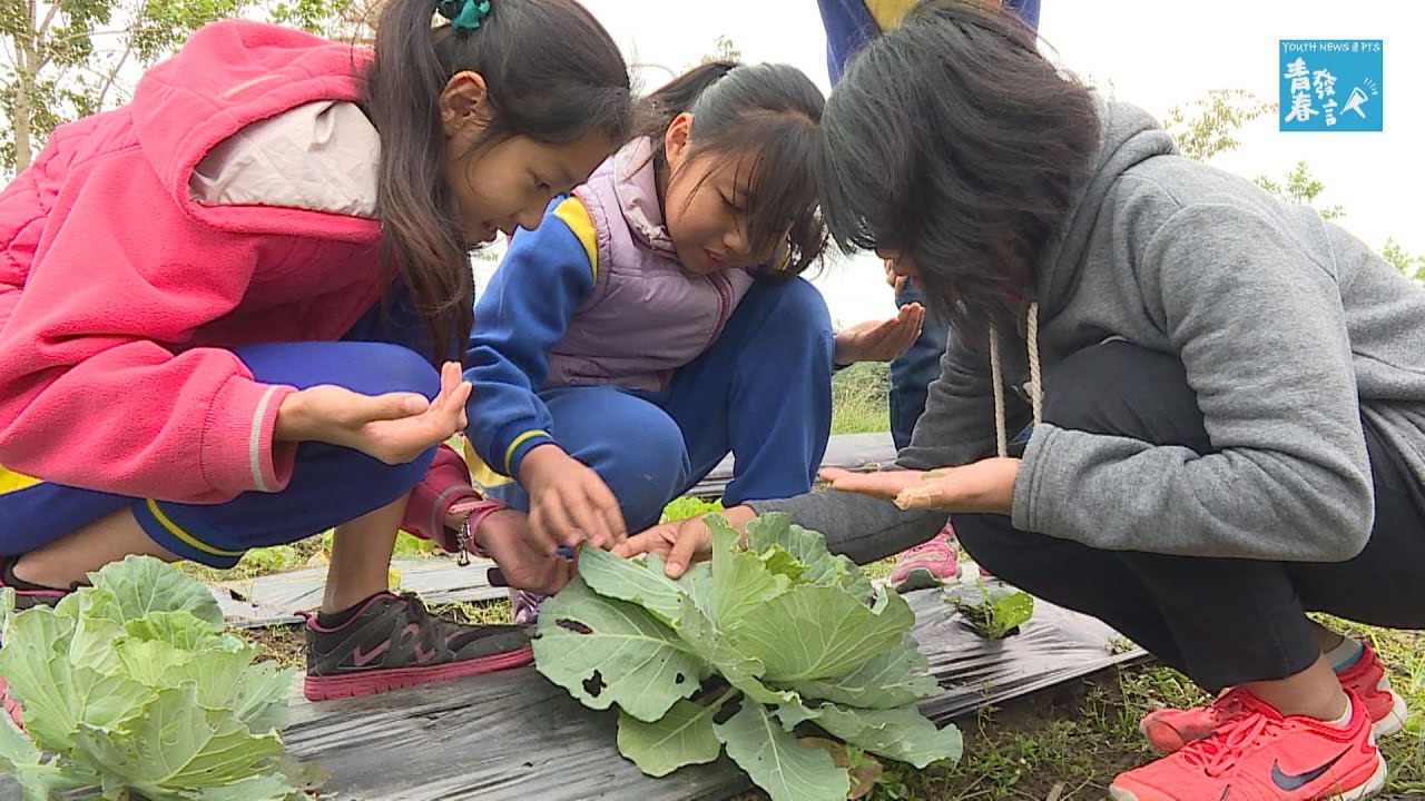 【專題 食農教育3】官田國小食物教育《青春發言人》