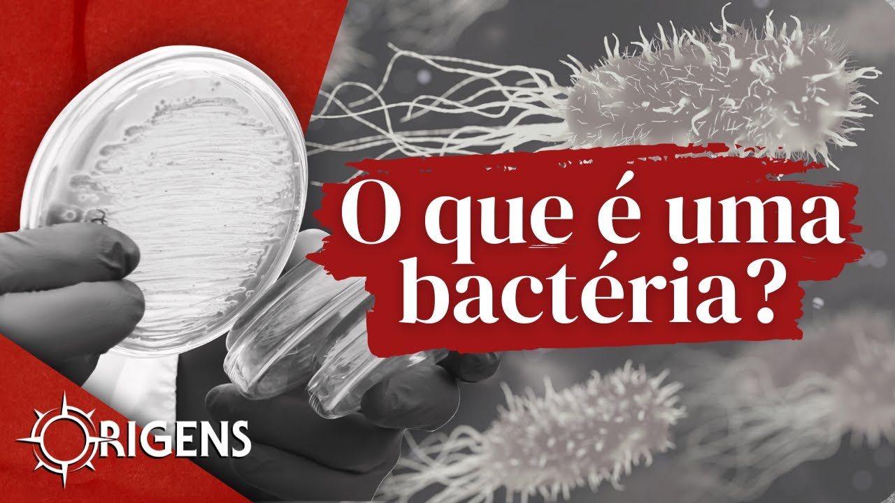 O que é uma bactéria? | ORIGENS [TEMP 10 - EP 04]