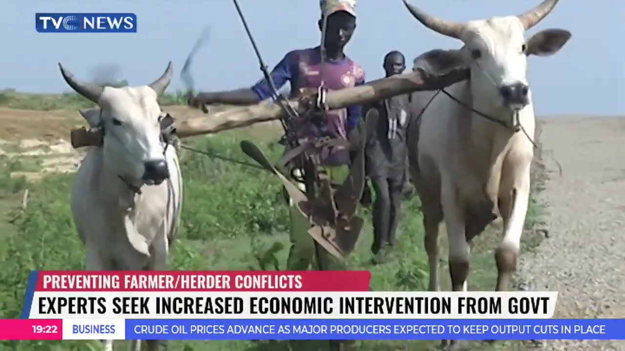 Farmers/Herders Conflicts: Experts Seek Increased Economic Intervention From Govt