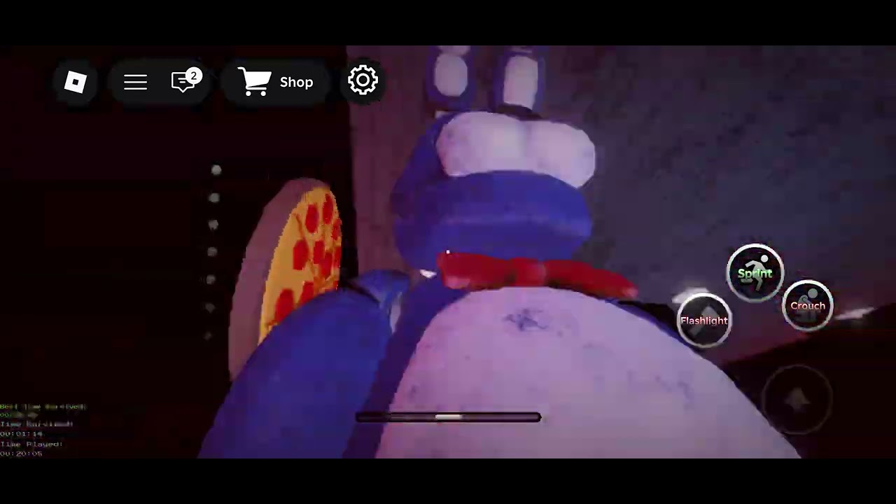 I just wanted to prank the animatronics... 