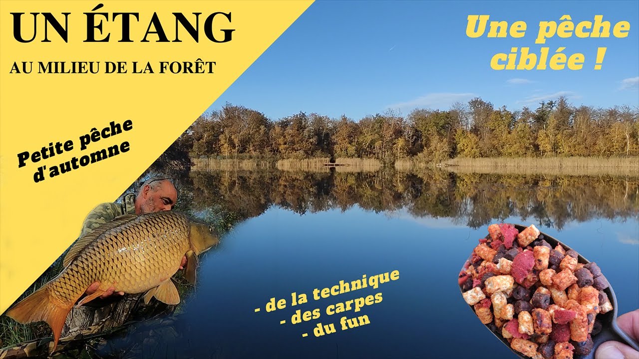 P&ecirc;che d'automne en &eacute;tang