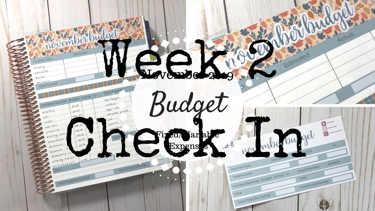 Week 2 Check In | November 2019 Budget | Erin Condren Deluxe Monthly |