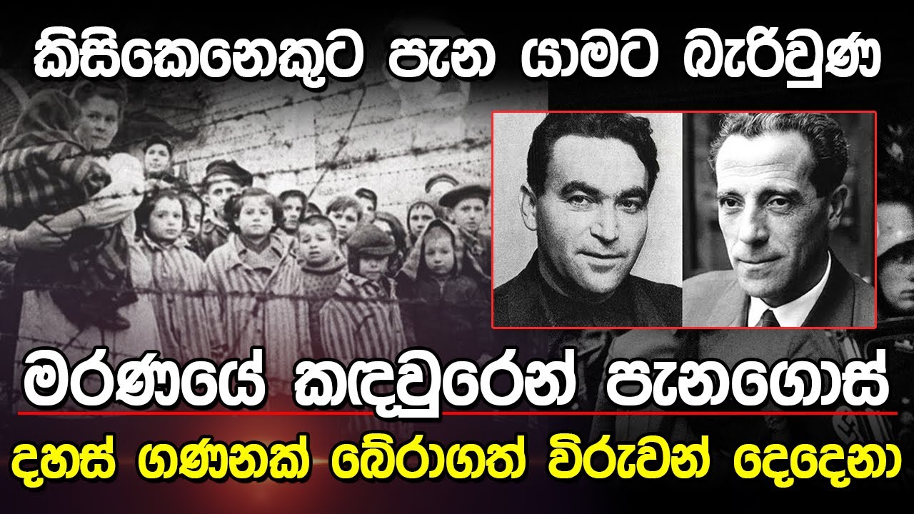 මරණයේ කදවුරෙන් පැනගිය විරුවන් දෙදෙනා | Escaping The Nazi Camp |