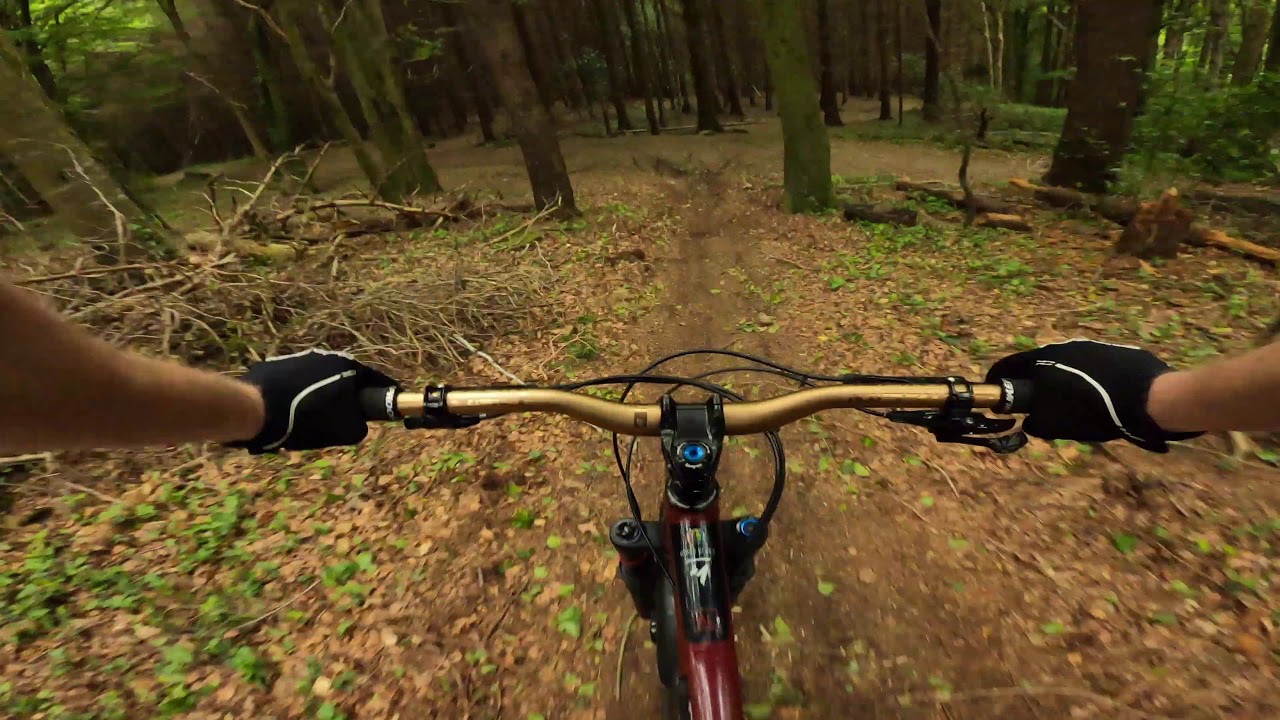 Bigwood Natural MTB - New Trails and Drops!