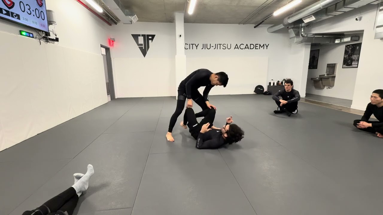 Knee Cut Defensive RDLR (Reverse De La Riva) Option 
