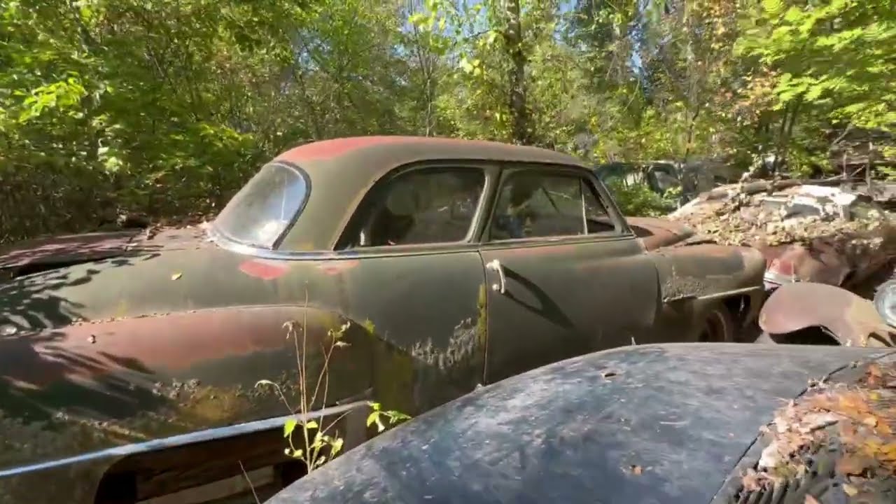 Hundreds of old cars in a long forgotten Canadian towing yard