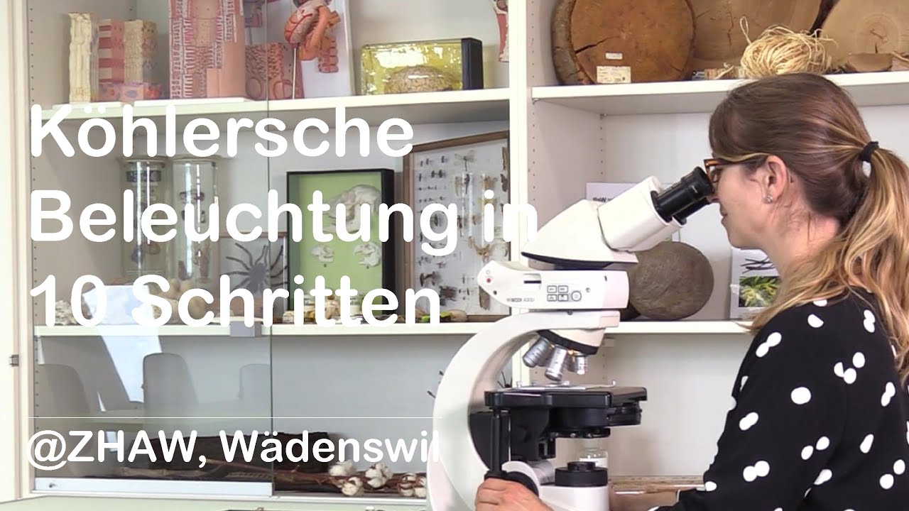 Köhlersche Beleuchtung in 10 Schritten