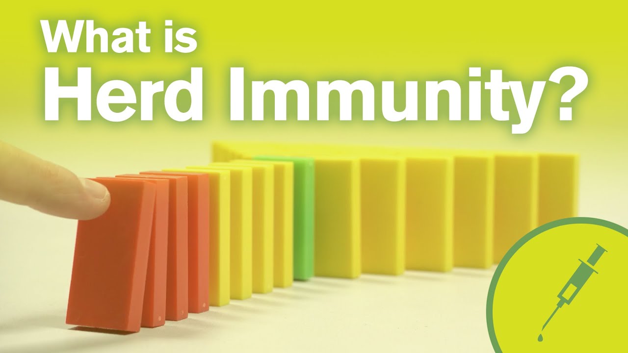 What is Herd Immunity?