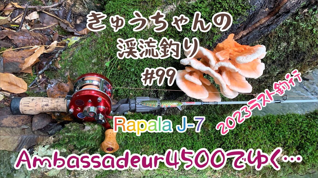 きゅうちゃんの渓流釣り #99 [HD]【1977 ABU Ambassadeur 4500 🍒】【PW Glasso】【2023シーズンラスト釣行】【Rapala J-7】【2023年9月29日】