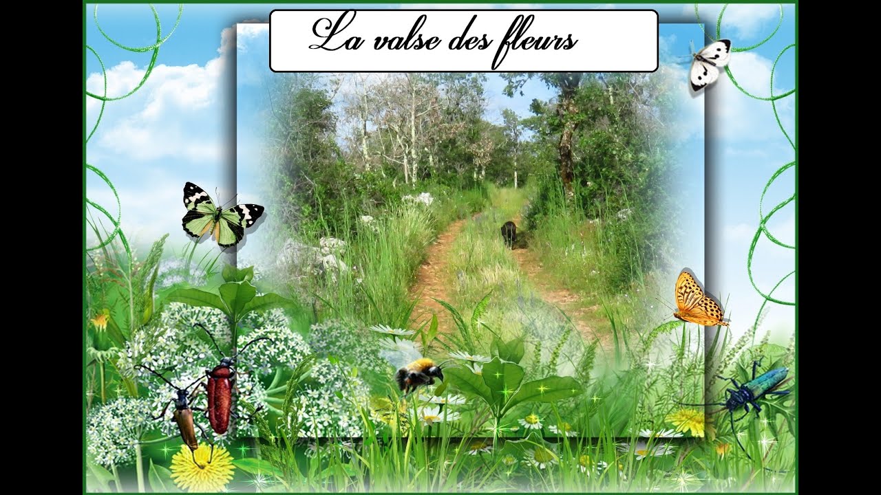La Valse des fleurs