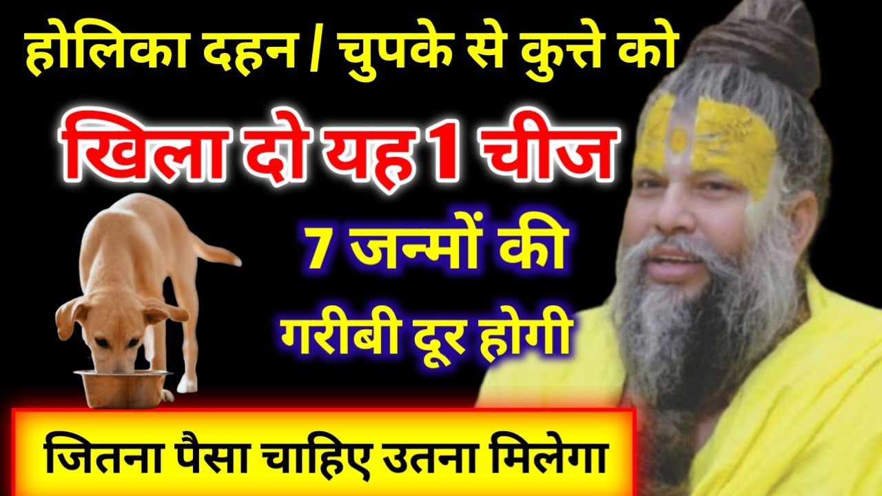 होलिका दहन के दिन चुपचाप कुत्ते को खिला दो यह एक चीज, आपकी 7 जन्मो की गरीबी दूर होगी / Premanand Ji