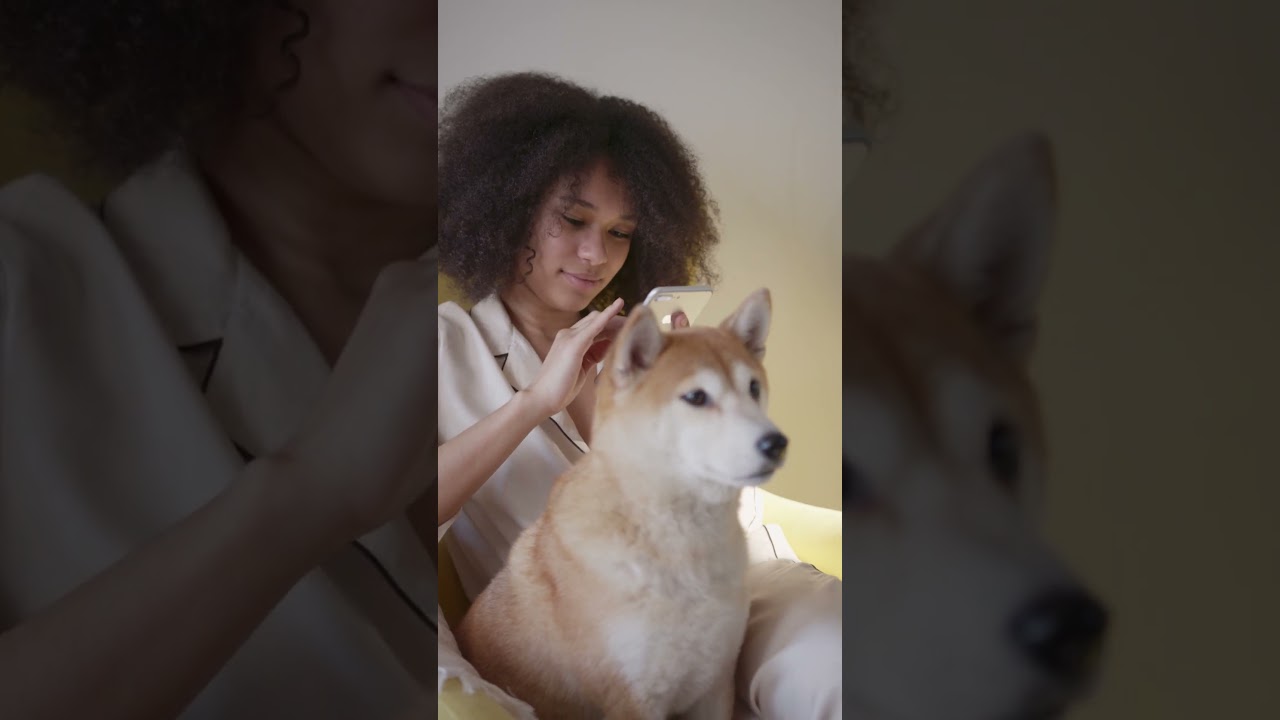 Your Dog Understands Tone, Not Words Science Says