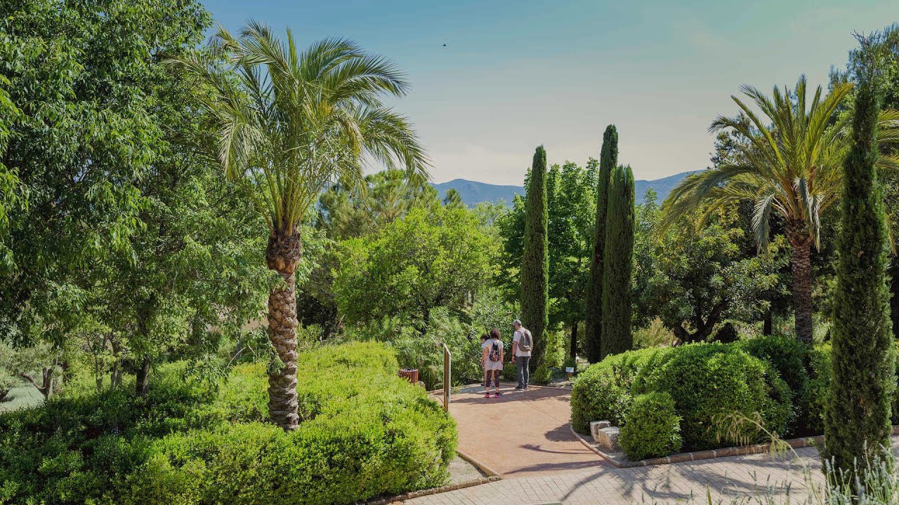 ¡Descubre algunos de los mejores jardines de la Comunitat Valenciana con #MediterráneoEnAcción!