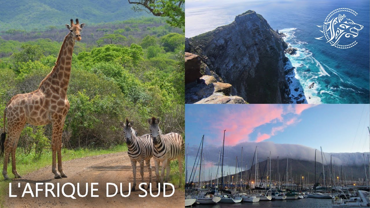 L'Afrique du Sud - Tour du Monde : Escale #4