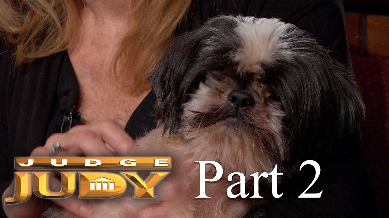 Fight over Foster Dog! | Part 2