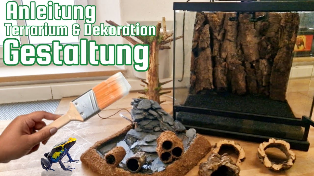 Anleitung - Terrarium & Dekoration Gestaltung für Pfeilgiftfrösche