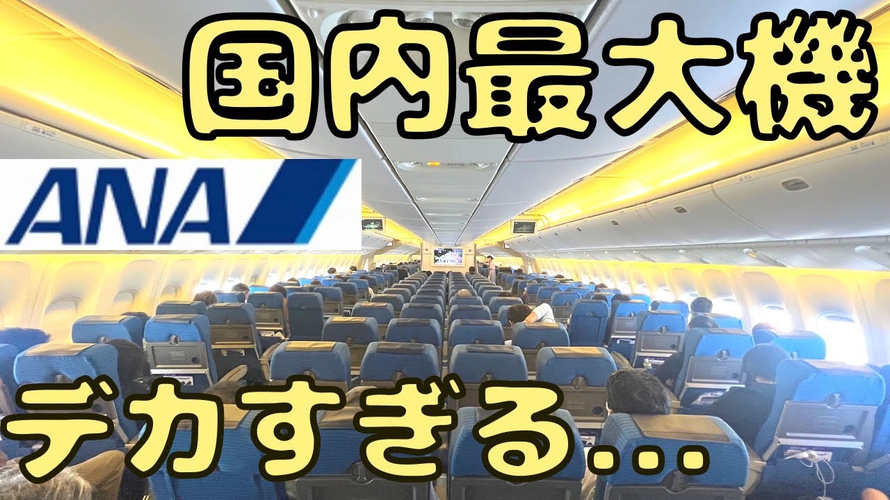 500人以上⁉︎ 格が違う飛行機で沖縄→東京便に乗ると...