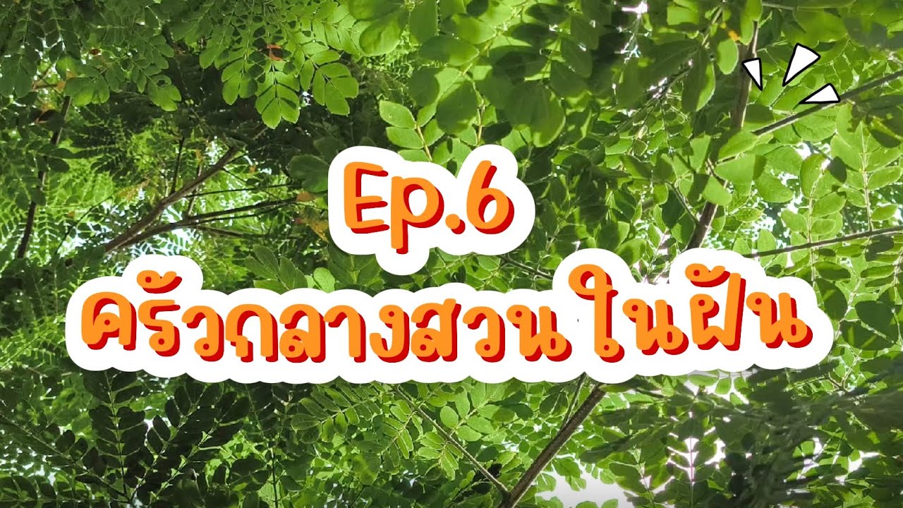EP.6 