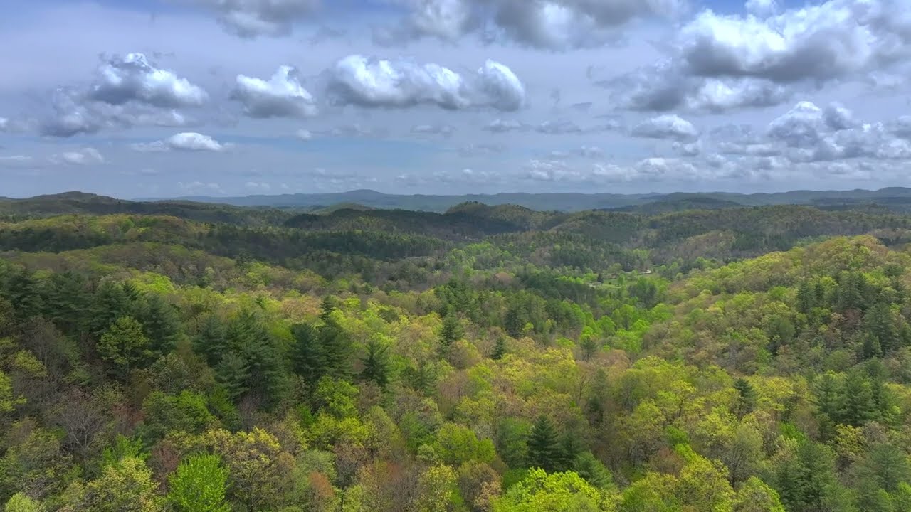 60 Acres of Unrestricted Land in Transylvania County