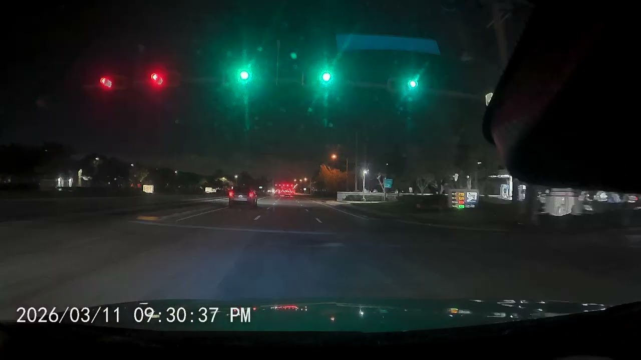 Only in Florida: The Most Unreal Highway Moment Ever Recorded