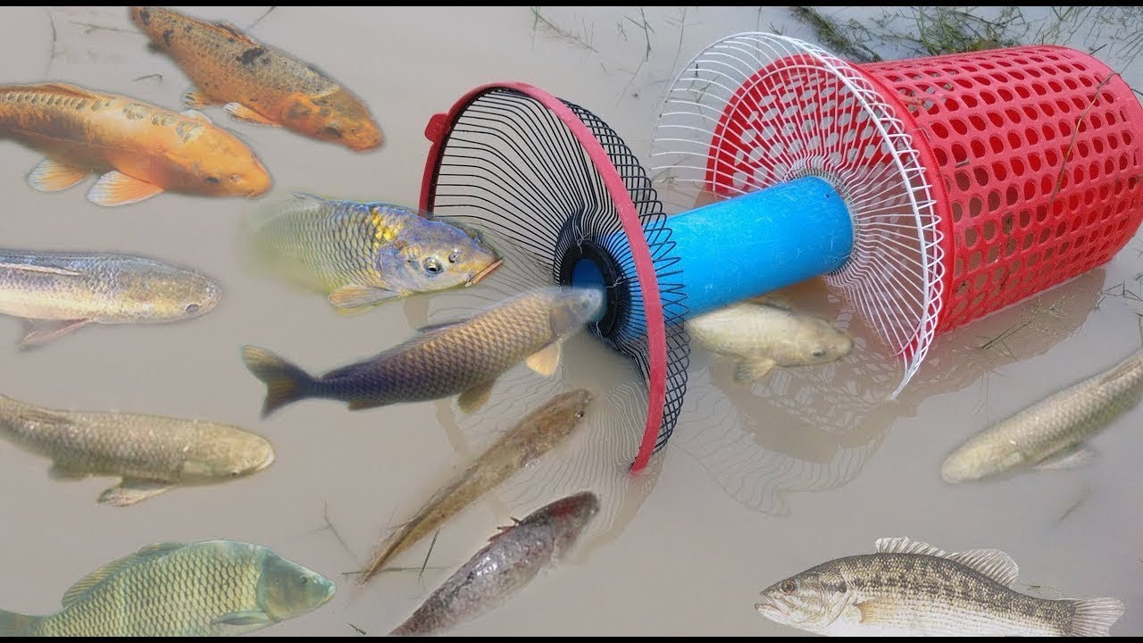Wow! Creative Boy Make Fish Trap  - Fan Guard - Basket To Catch A Lot of Fish