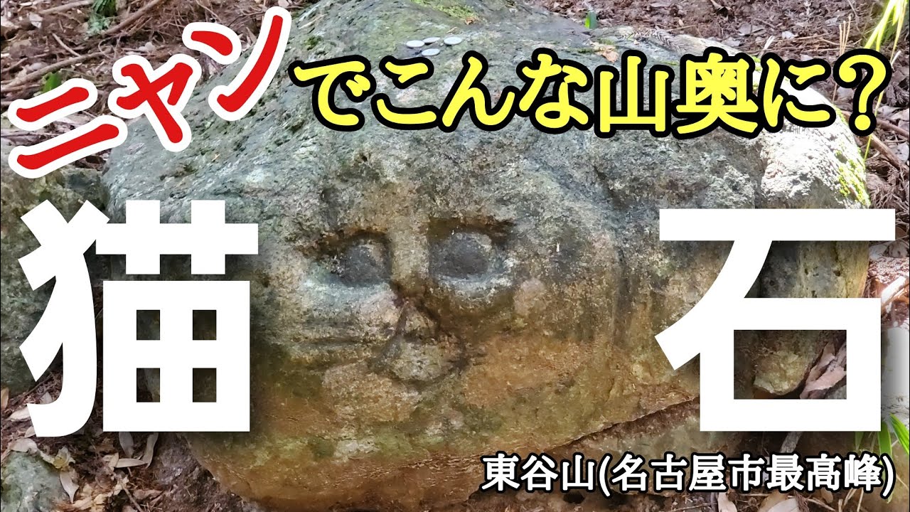 【猫好き登山者の聖地となるか？】謎の猫石を探す名古屋市最高峰・東谷山ハイク