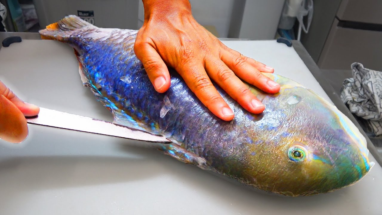 沖縄に生息する伝説の高級魚に包丁を入れてみた