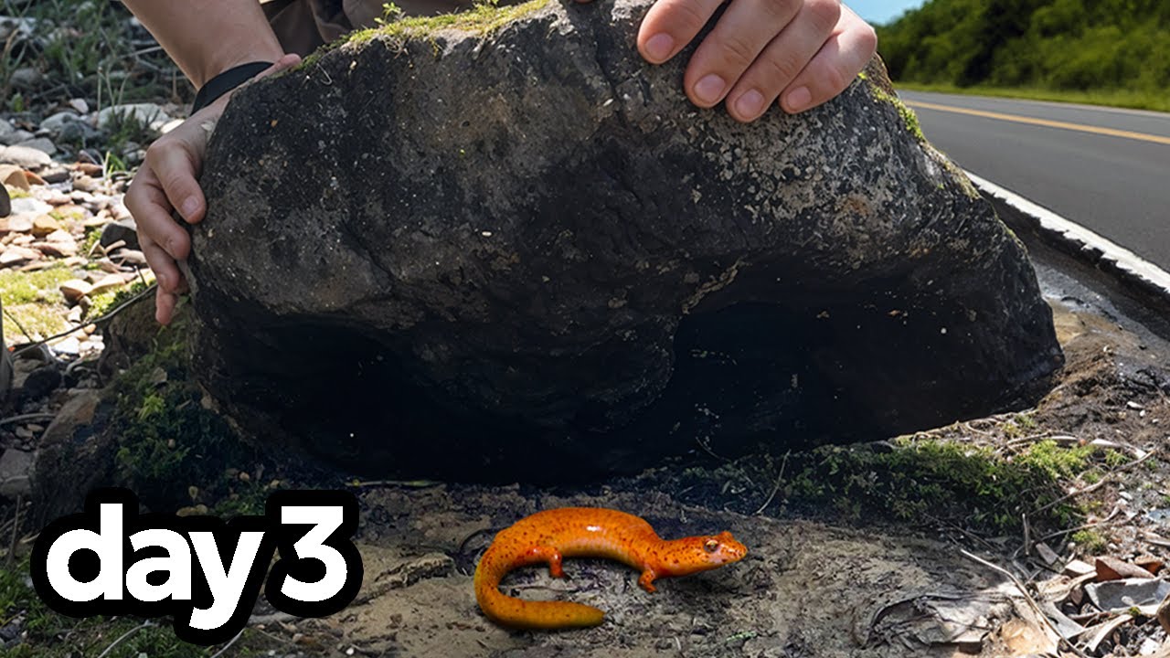 I flipped rocks for 72 hours and found&hellip;