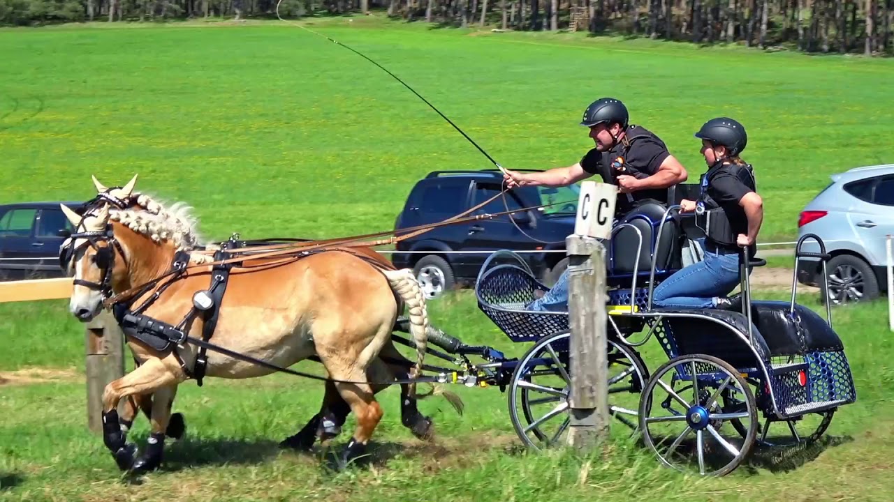 KLEIN MARZEHNS 2018