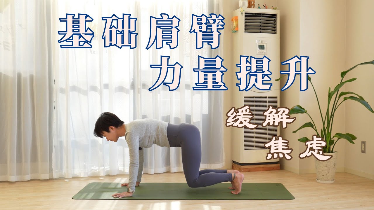 中文【缓解 焦虑抑郁】30分钟 基础肩臂力量提升 激活肩臂肌肉 改善驼背头前引【基础力量提升系列】