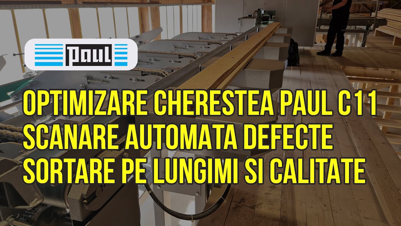 Vezi cât de rapid procesează această mașină lemnul! Paul C11 cu scanare automată