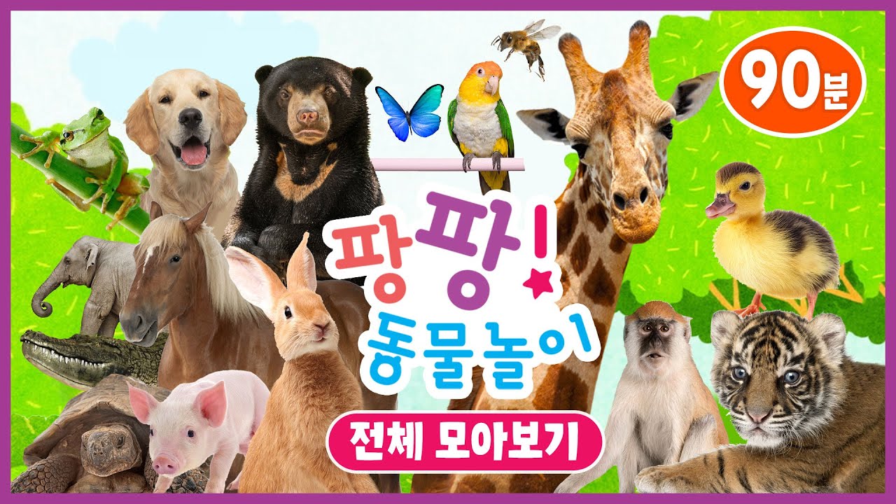 팡팡! 동물놀이💛ㅣ전체 모아보기ㅣ자연탐구ㅣ어린이 프로그램ㅣPangpang! Play with AnimalㅣKids