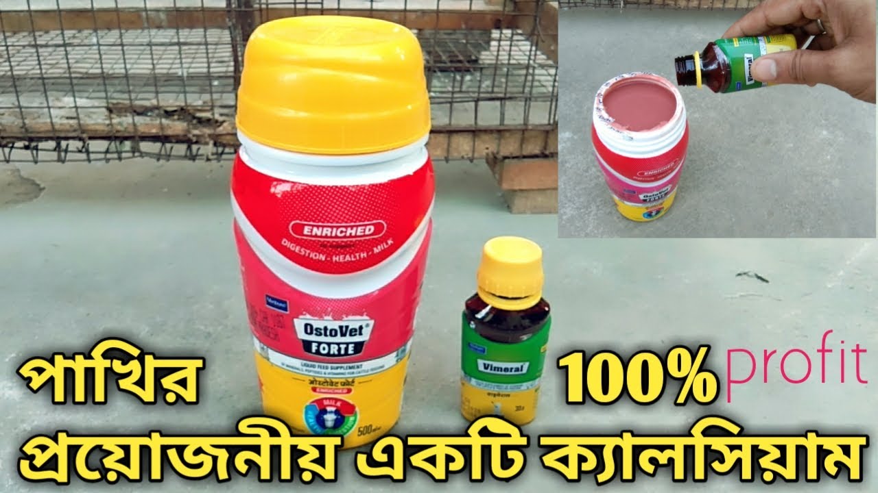 পাখির ভালো ব্রিডিং এর জন্য অত্যন্ত প্রয়োজনীয় একটি ক্যালসিয়াম#ostovetforte#birdbestcalcium