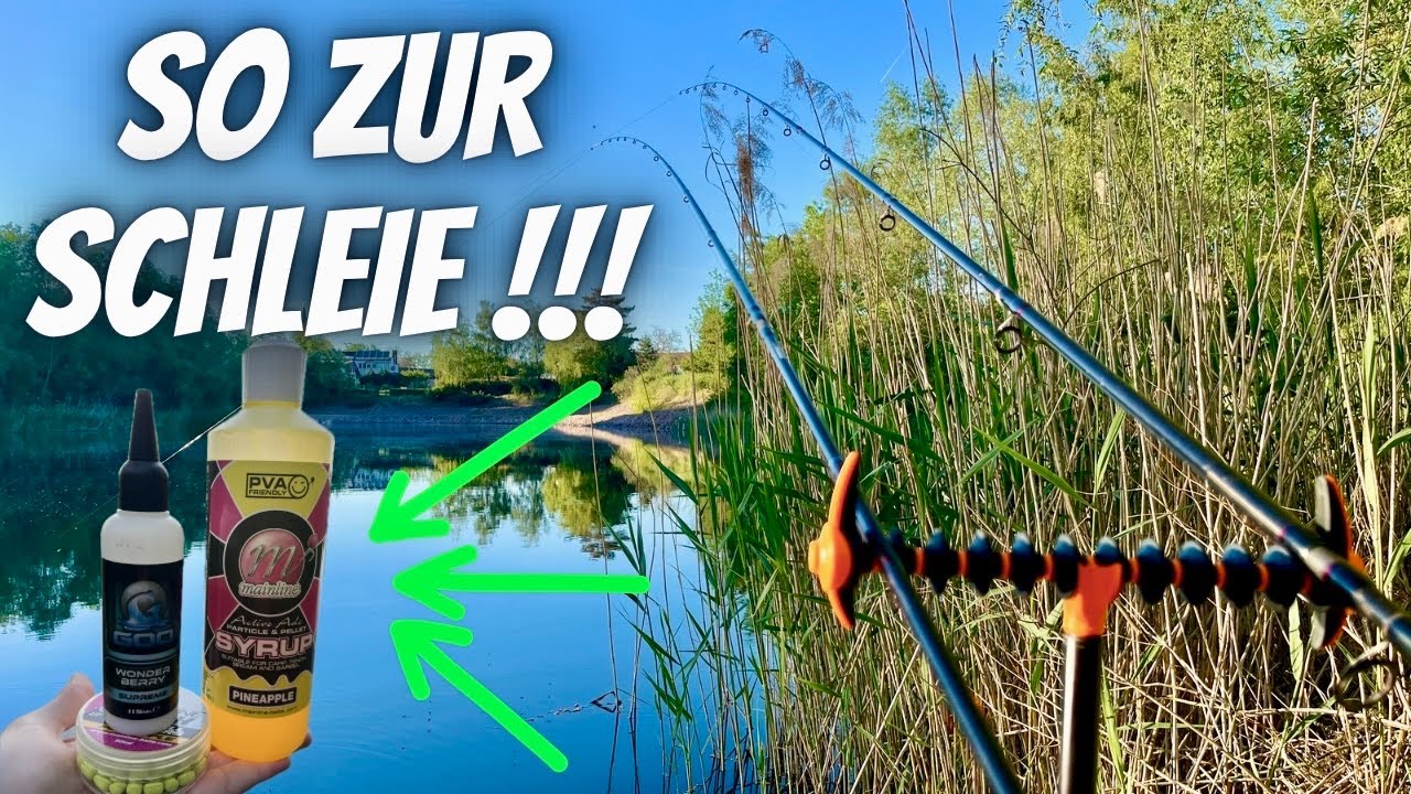 SCHLEIEN ANGELN | Auftakt mit Method Feeder!