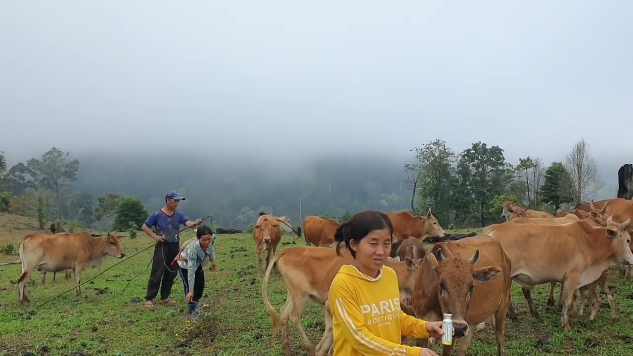 Lub neej ua teb tu nyuj li no kho siab thiab kaj siab thiab 