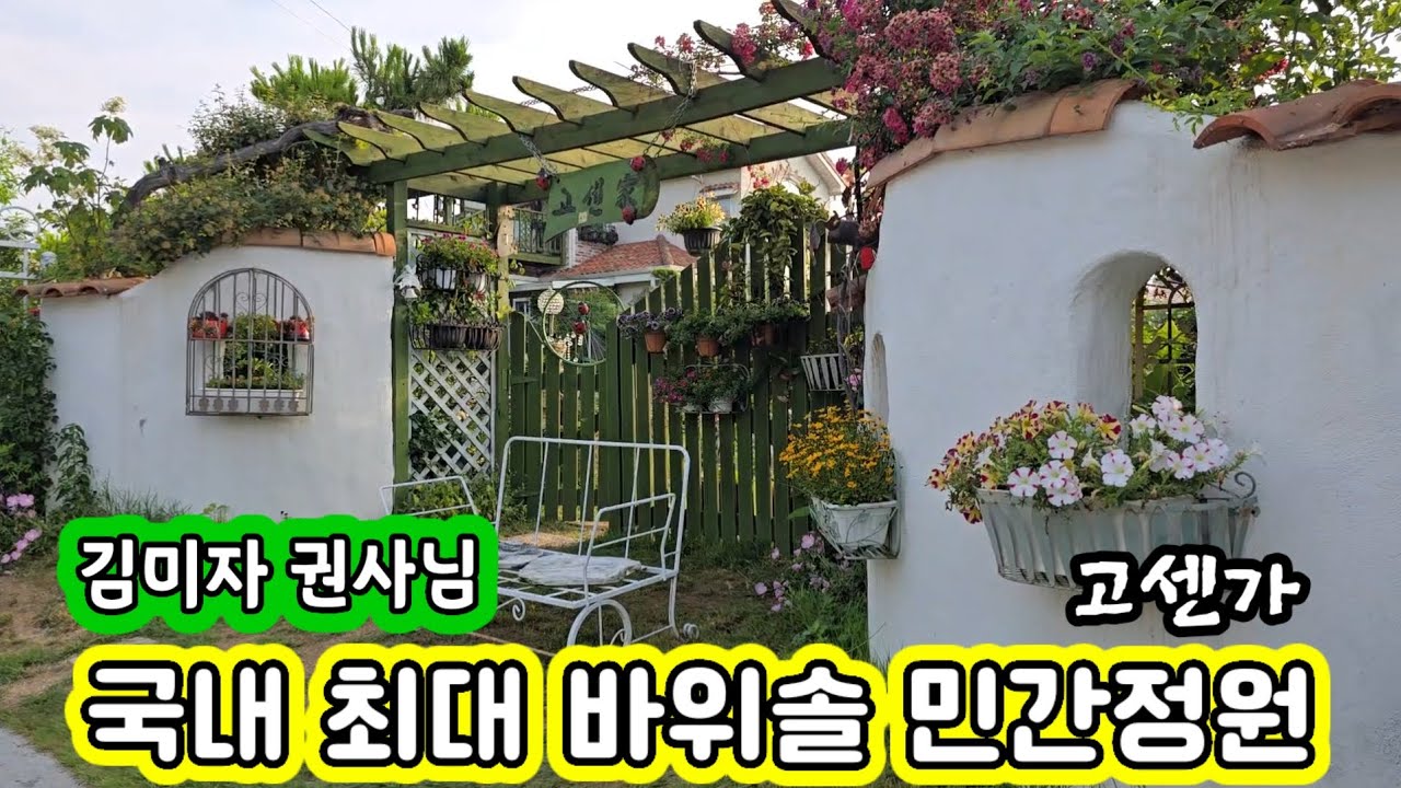 국내 최대 바위솔 민간정원 고센가 김미자권사 바위솔예찬