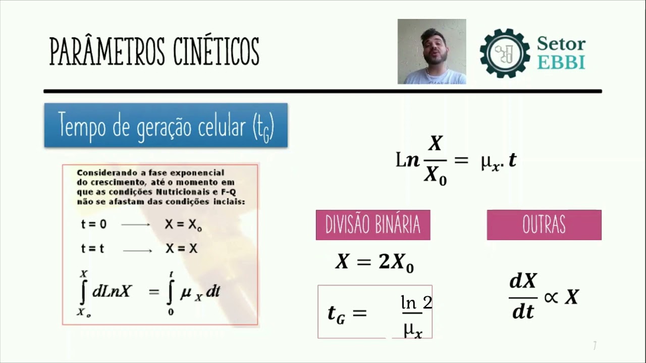 Cinética de crescimento celular em  batelada - teoria da prática
