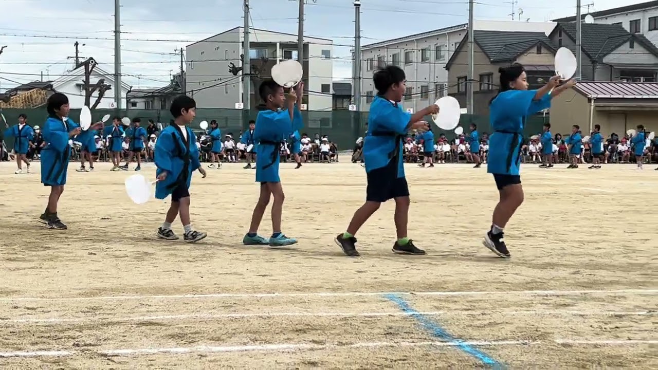 2026年2月11日
