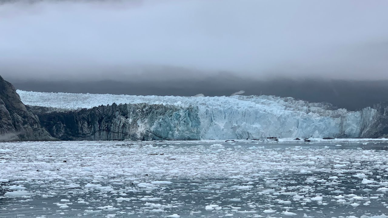 Glacier Bay National Park - Gustavus, Alaska ❄️🛥 🌊 🦭🌳🚲