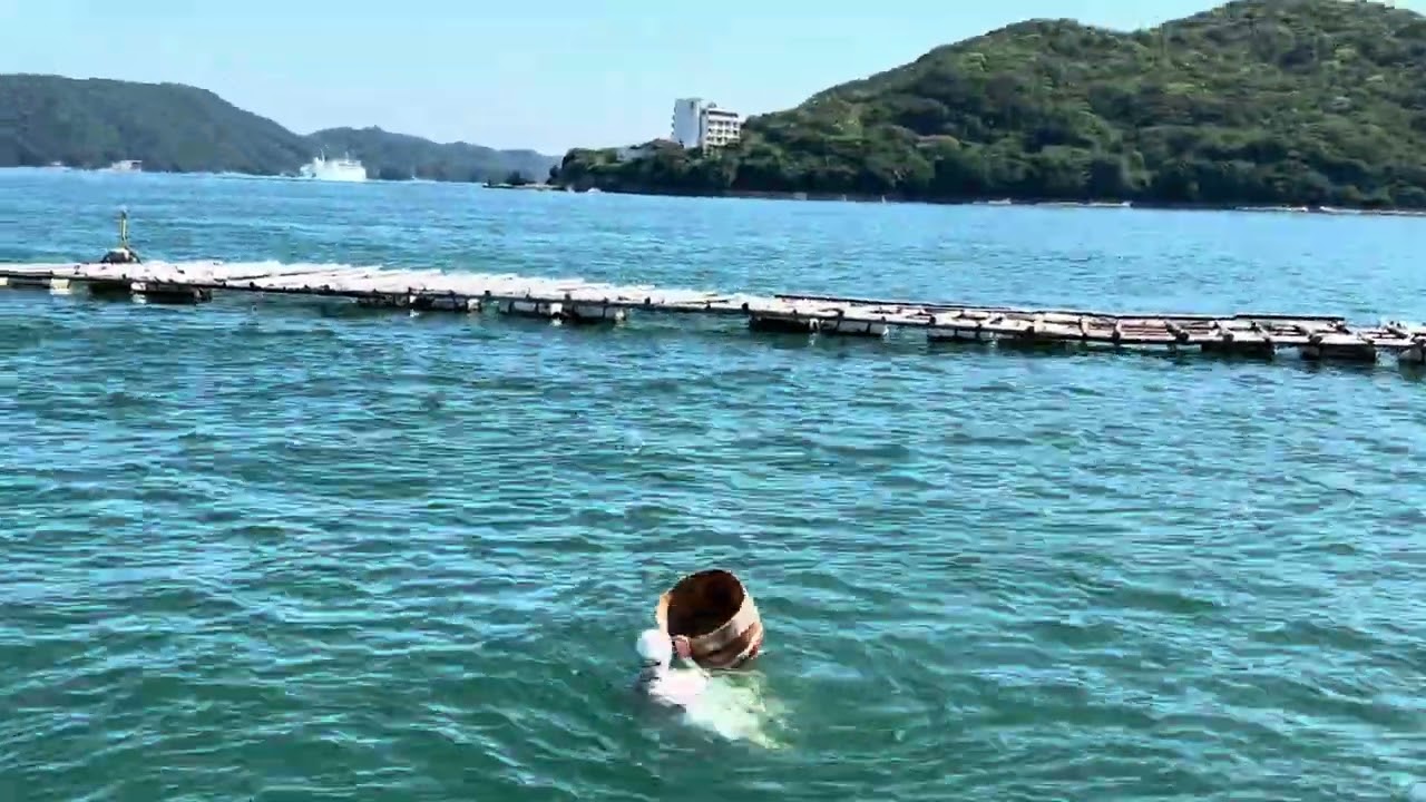 Initial Satge of MIKIMOTO Pearl