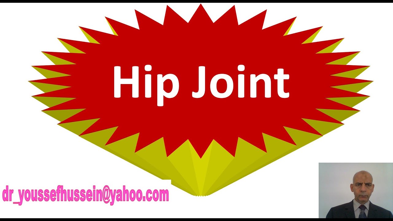 25. Hip joint | dislocation | capsule | Ligaments | movements | Trendelenburg | Gower sing