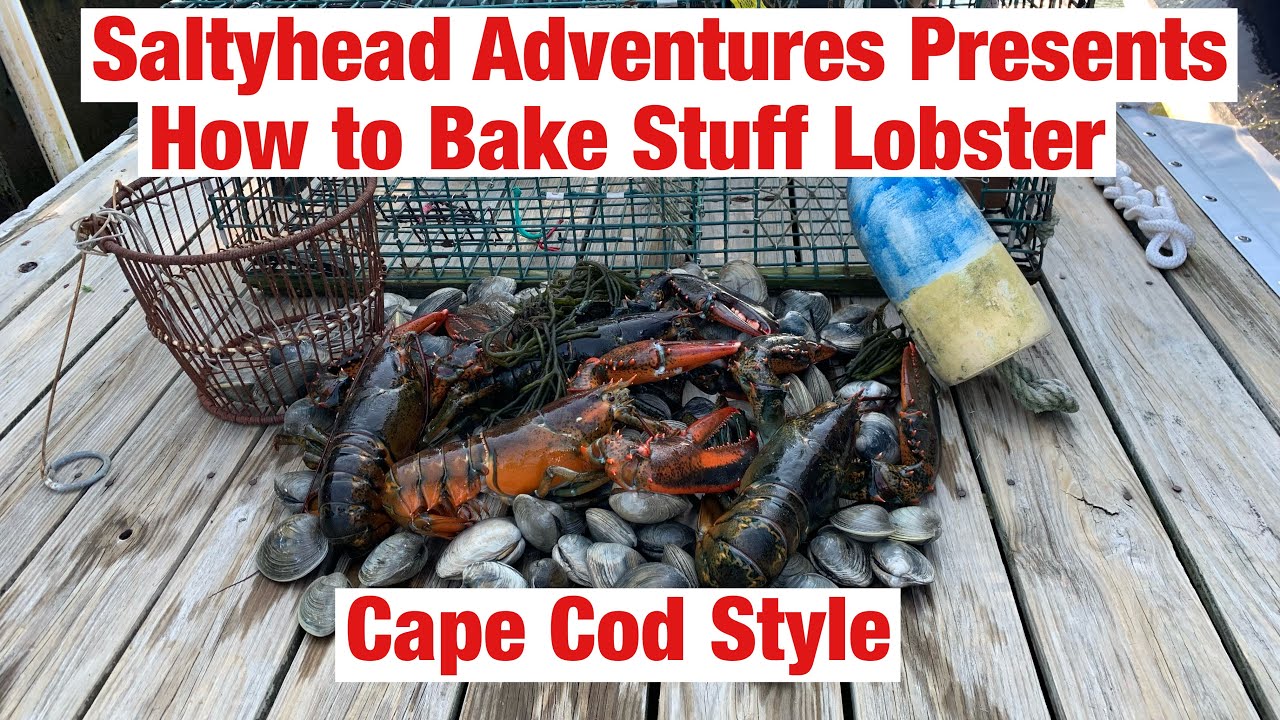How to Bake Stuff Lobster Cape Cod Style with Saltyhead