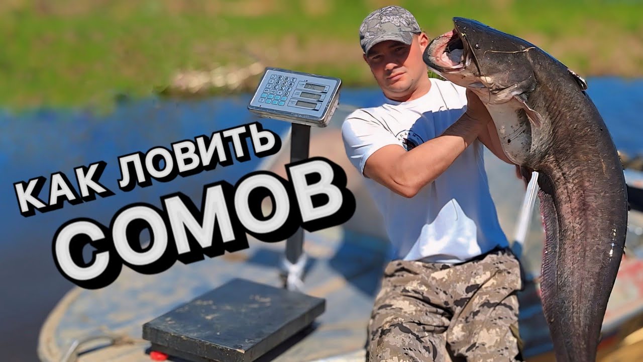 Выезд на сома! Супер рыбалка