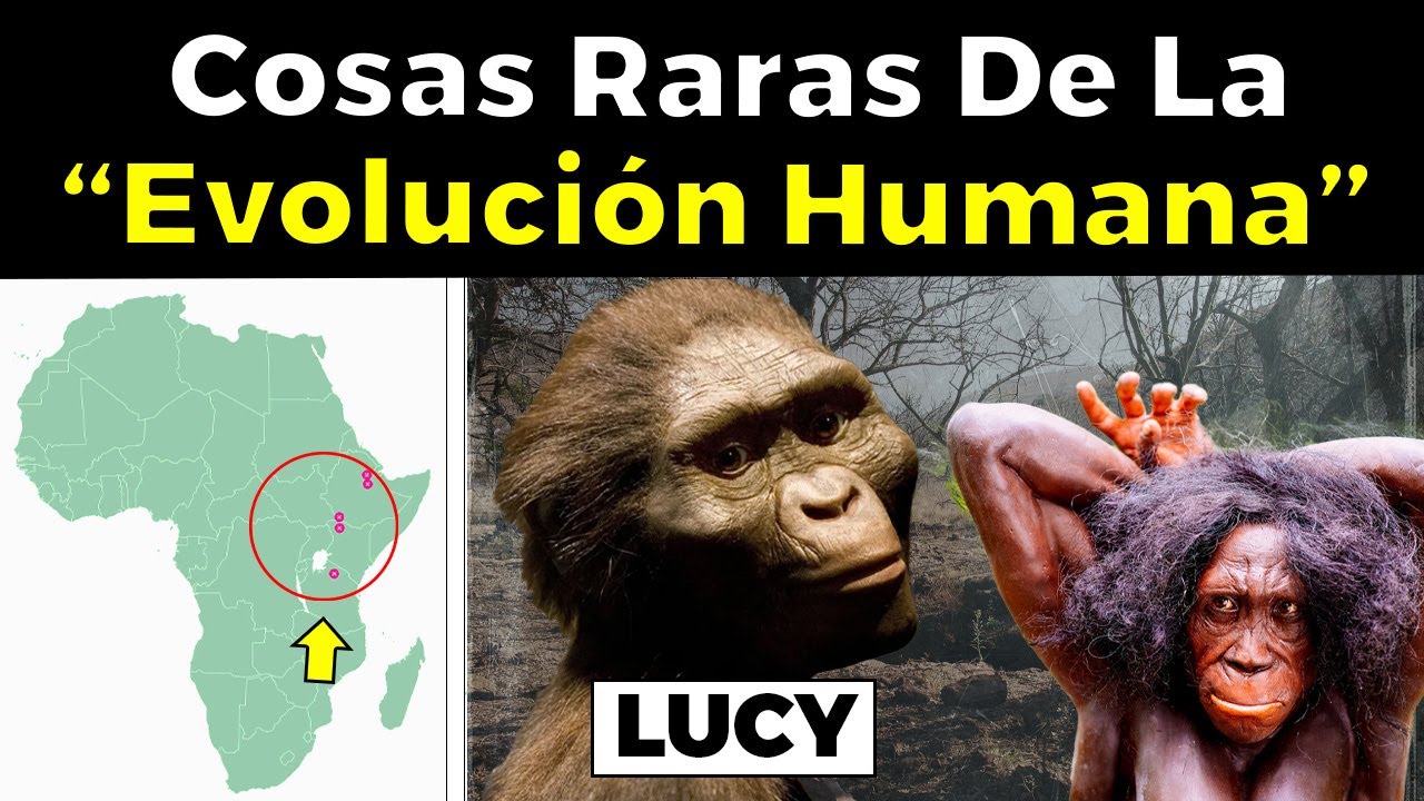 La extra&ntilde;a historia de los Australopithecus y 