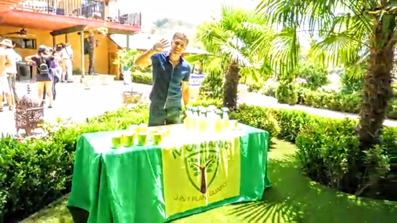 Moroccan Garden Of Eden: The History & Background on IV Organic (Part 2 of 4)