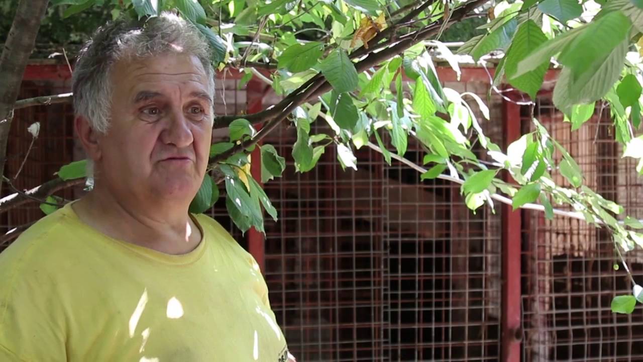 Čudna kuća je to