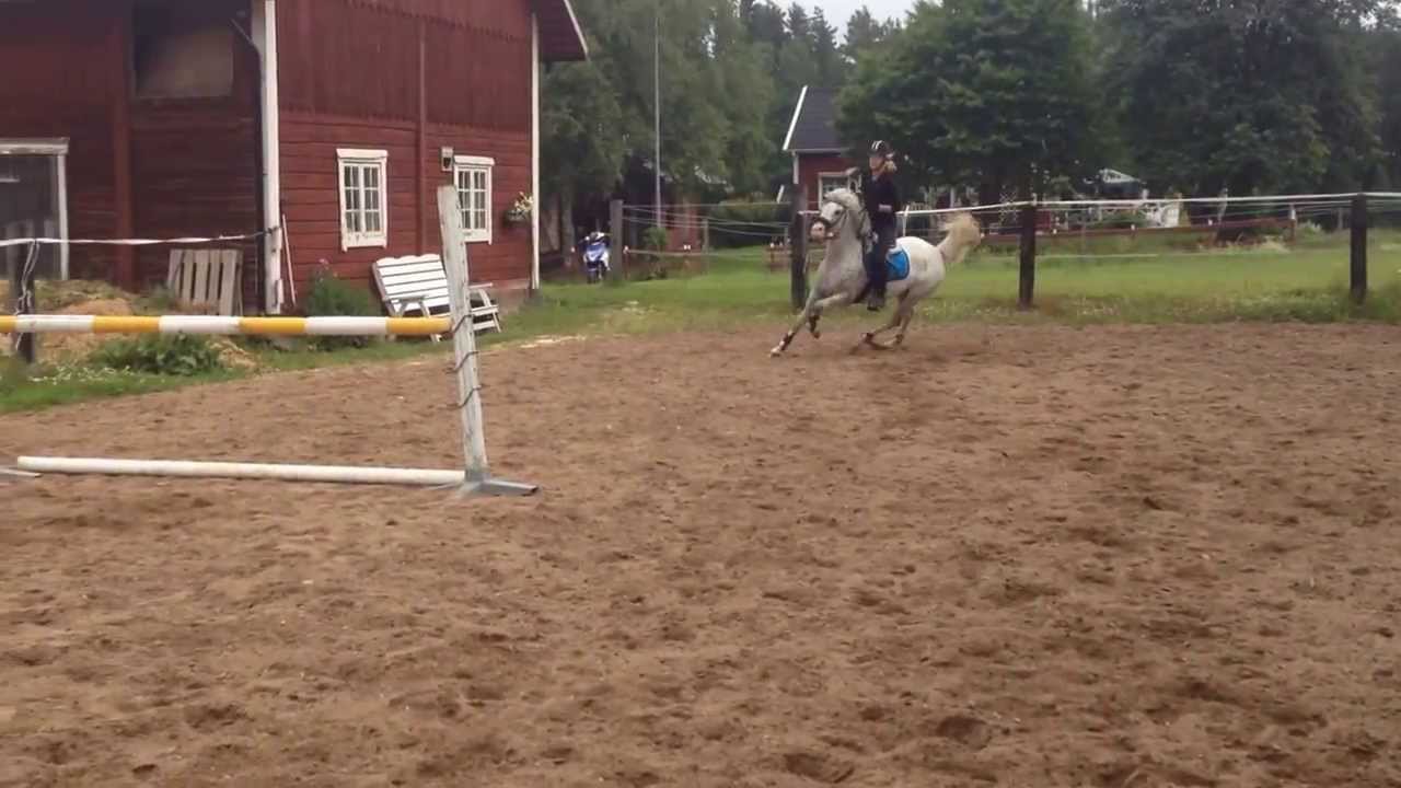 ett&aring;rsfilm - Panter Van De Mountain