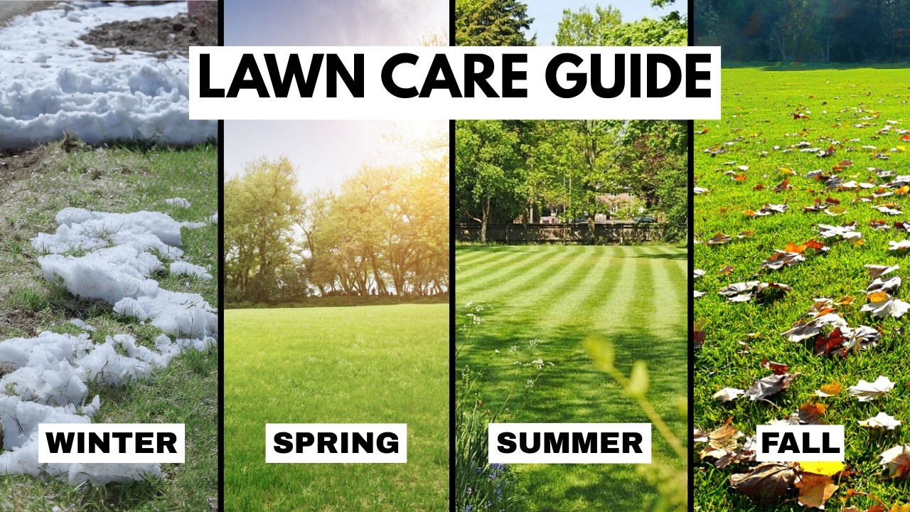How to Get a Perfect Lawn (Full Program)